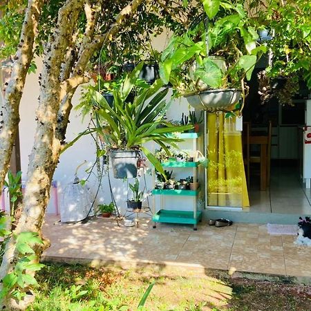 Para Desfutar Com A Familia Bombinhas Exterior foto